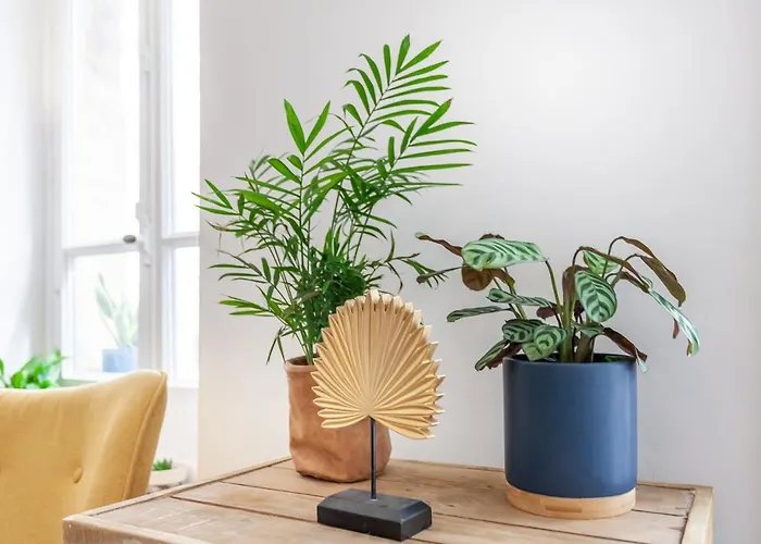 Lovely Normandy Un Havre De Paix En Bord De *